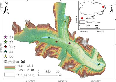 PSR-BP Neural Network-Based Health Assessment of the Huangshui Plateau Urban Wetlands in China